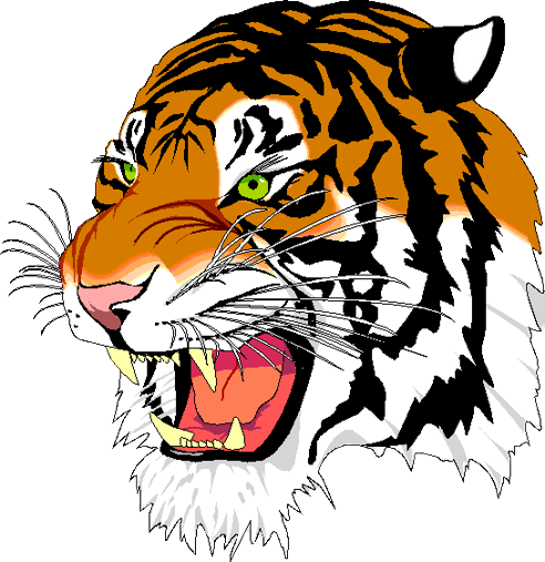Tiger copie 2 removebg preview